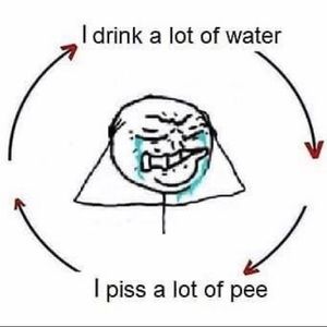 Meet your Posher, Dylan